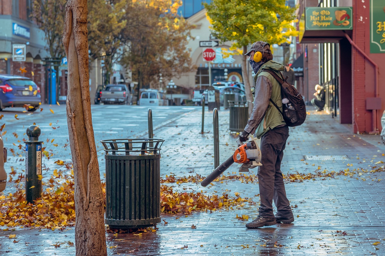 The Multi-Tasks of a Hand-Held Leaf Blower in Home Cleaning