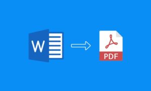 PDF reader